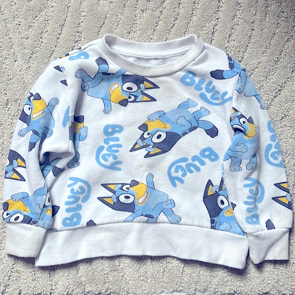 Bluey Crew Neck Sweatshirt